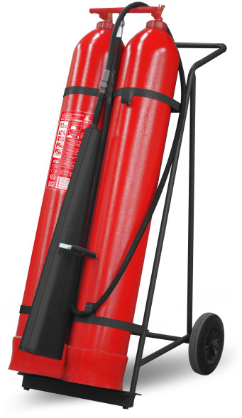 Углекислотный огнетушитель ОУ-50-ВСЕ Морской ИНЕЙ